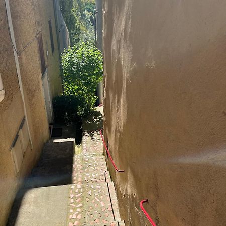 Le Tapis Vert - Loft Avec Jardin Auch Extérieur photo