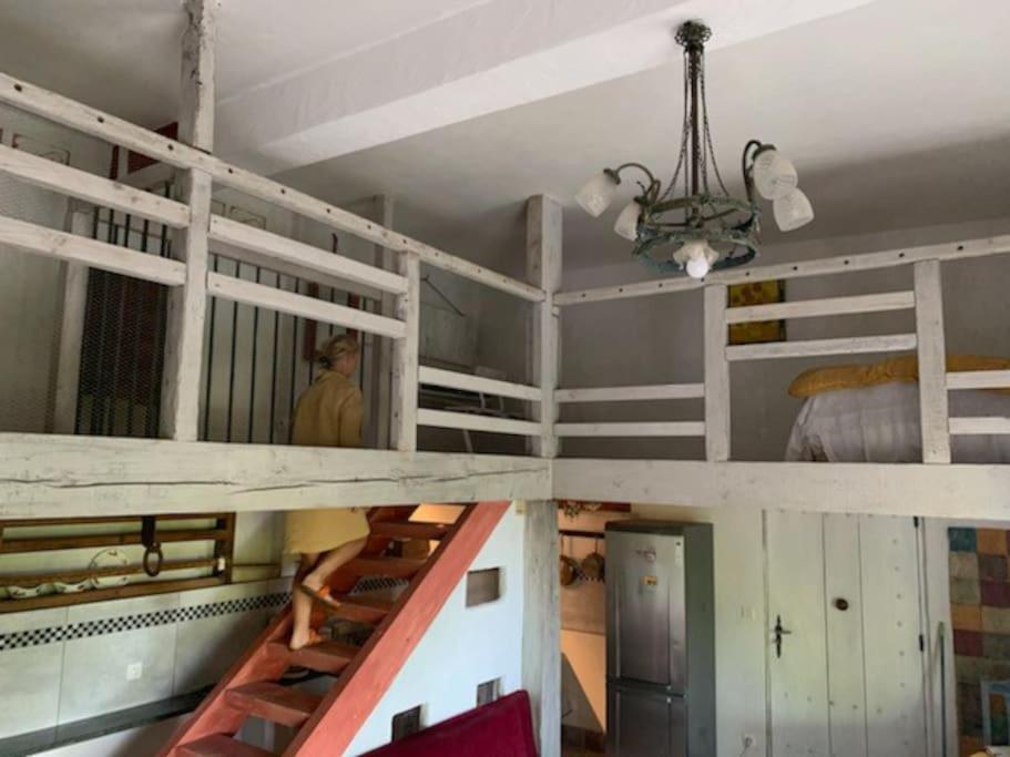 Le Tapis Vert - Loft Avec Jardin Auch Extérieur photo